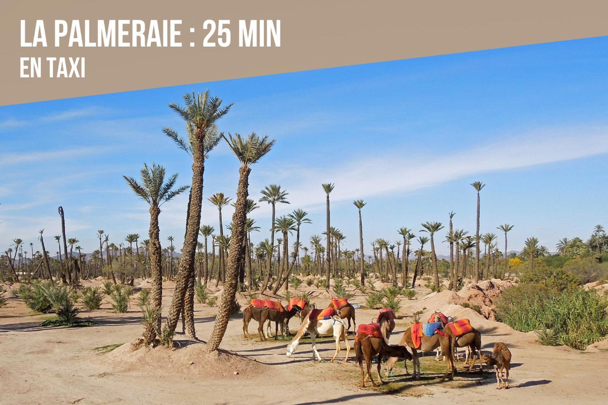 Magnifique Appartement Moderne De 2 Chambres Avec Piscine A 10 Min Du Centre De Marrakech มาร์ราเกช ภายนอก รูปภาพ